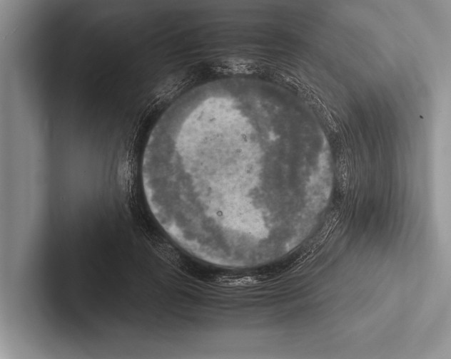 X0000102520747200809051443