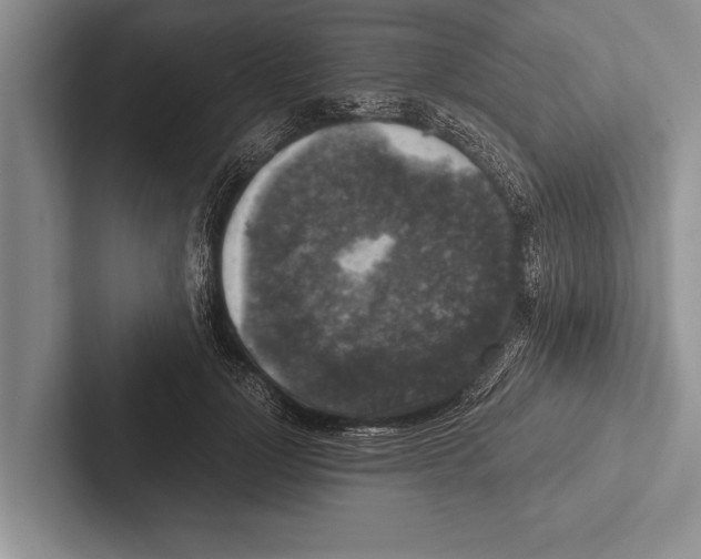 X0000102520748200809051443