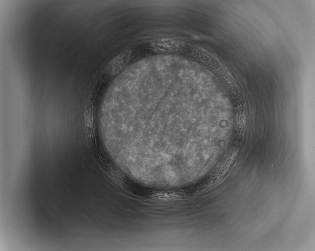 X0000102520749200809051443