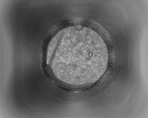 X0000102520750200809051443