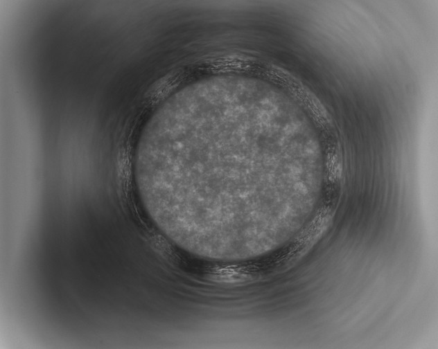 X0000102520753200809051443