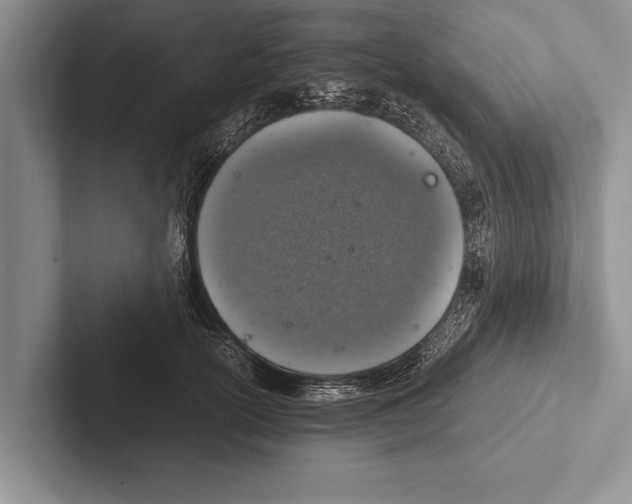 X0000102520754200809051443