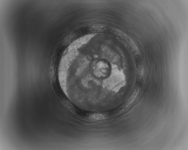 X0000102520759200809051443