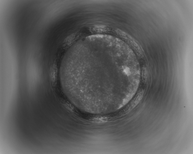 X0000102520760200809051443