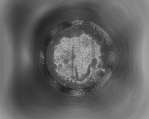 X0000102520761200809051443