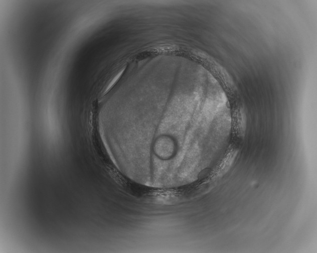 X0000102520762200809051443