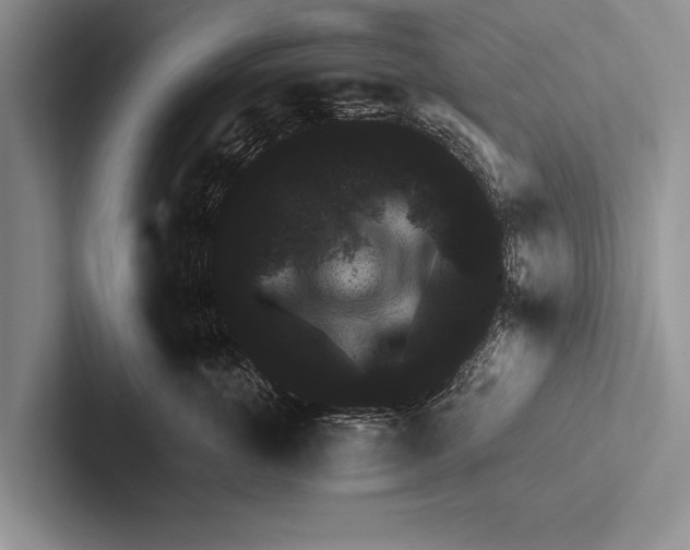 X0000102520763200809051443