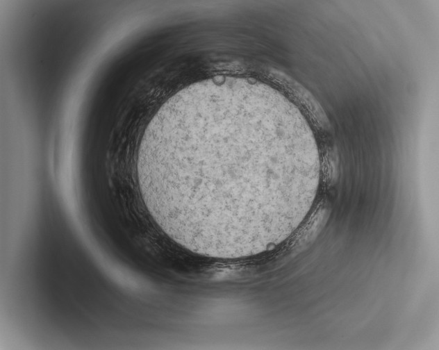 X0000102520764200809051443