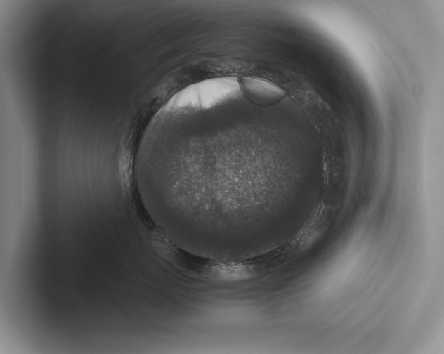 X0000102520767200809051443