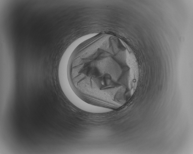 X0000102520768200809051443