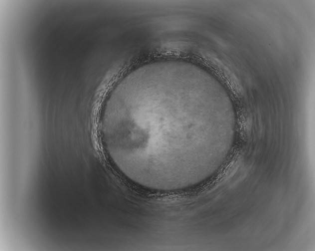 X0000102520769200809051442