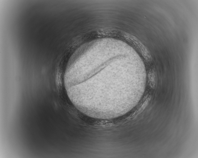 X0000102520770200809051442