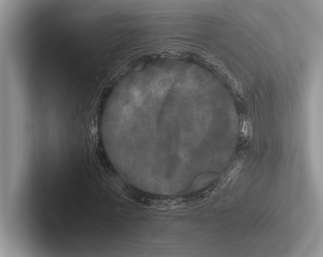 X0000102520771200809051442