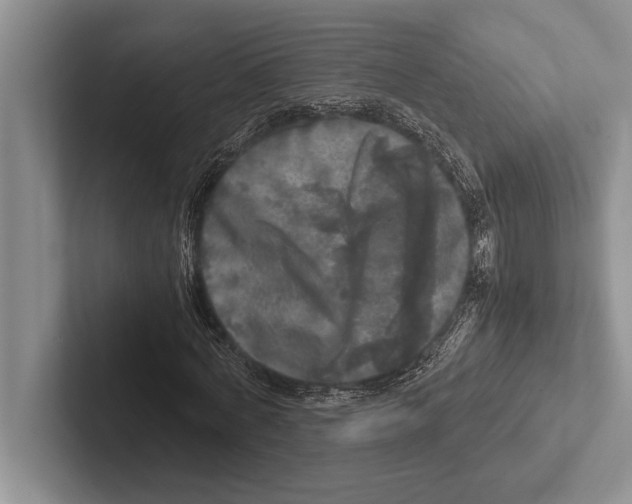 X0000102520772200809051442