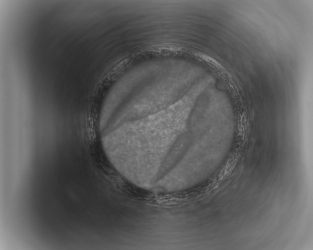 X0000102520774200809051442