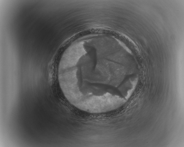 X0000102520775200809051442