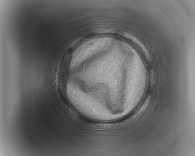 X0000102520777200809051442