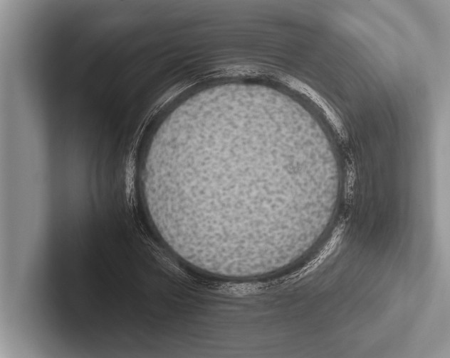 X0000102520778200809051442