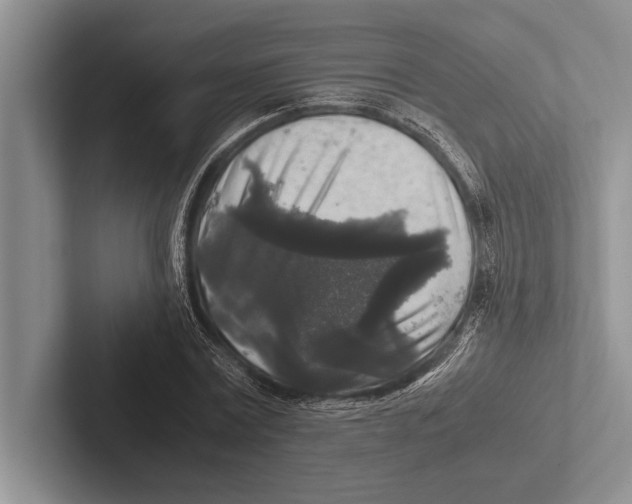 X0000102520779200809051442