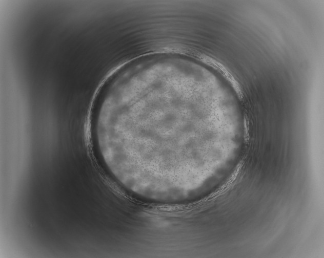 X0000102520780200809051442