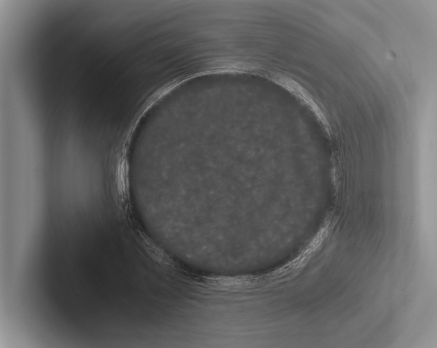 X0000102520781200809051442