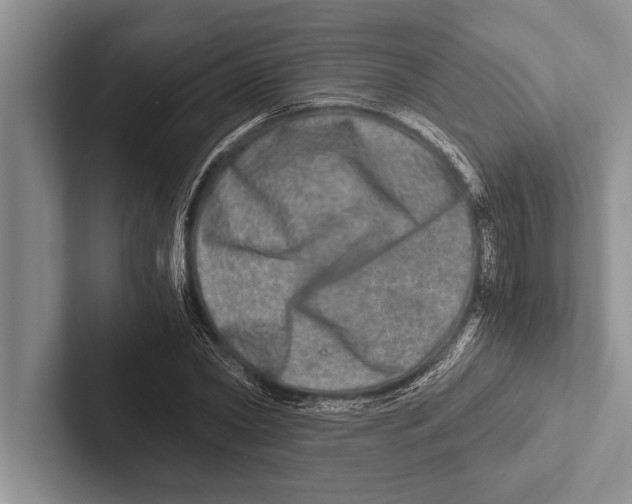 X0000102520782200809051442