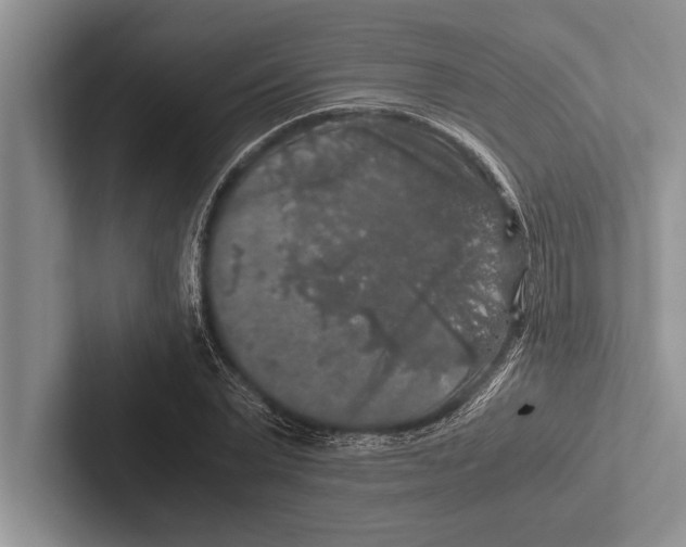 X0000102520783200809051442