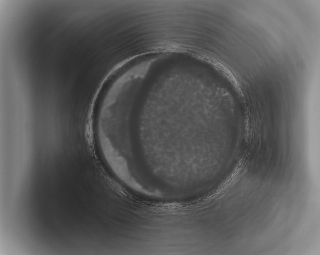 X0000102520784200809051442