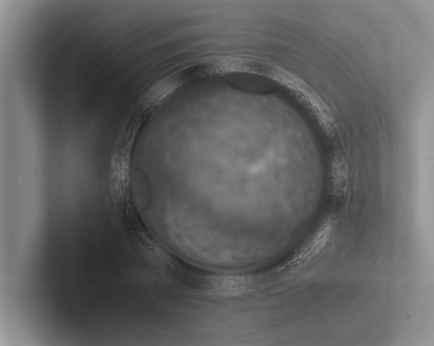 X0000102520785200809051442