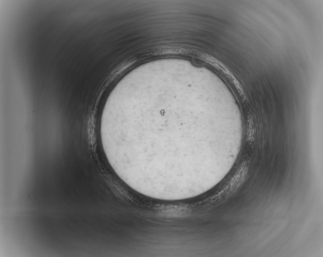 X0000102520786200809051442