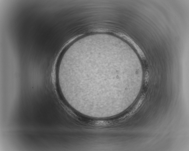 X0000102520787200809051442