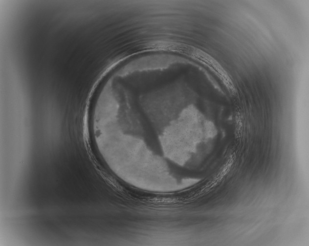 X0000102520788200809051442