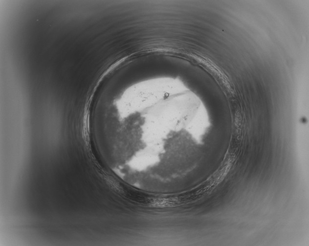 X0000102520790200809051442