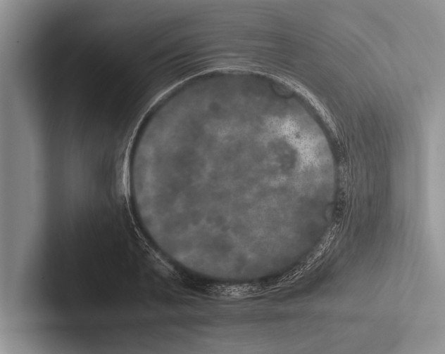 X0000102520791200809051442