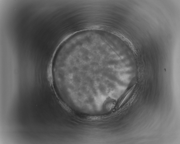 X0000102520792200809051442