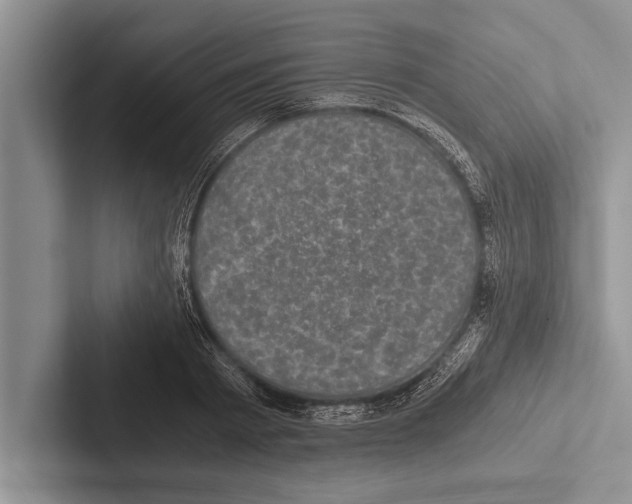 X0000102520793200809051442