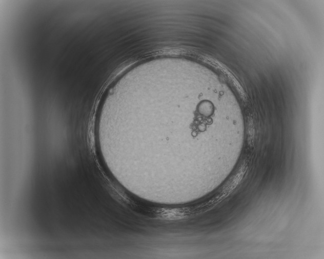 X0000102520794200809051442