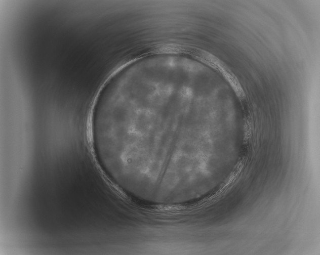 X0000102520795200809051442