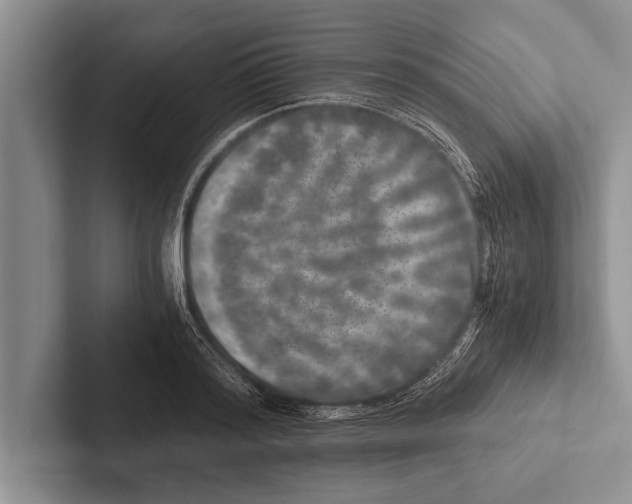 X0000102520796200809051442