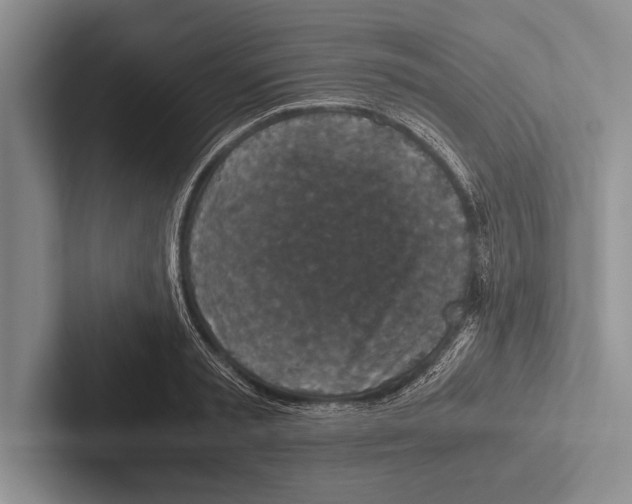 X0000102520797200809051442