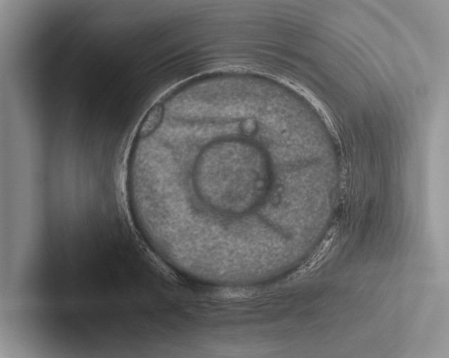 X0000102520799200809051442