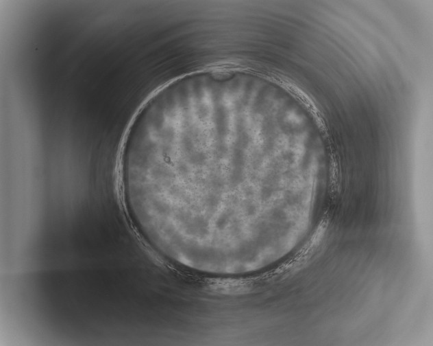 X0000102520800200809051442