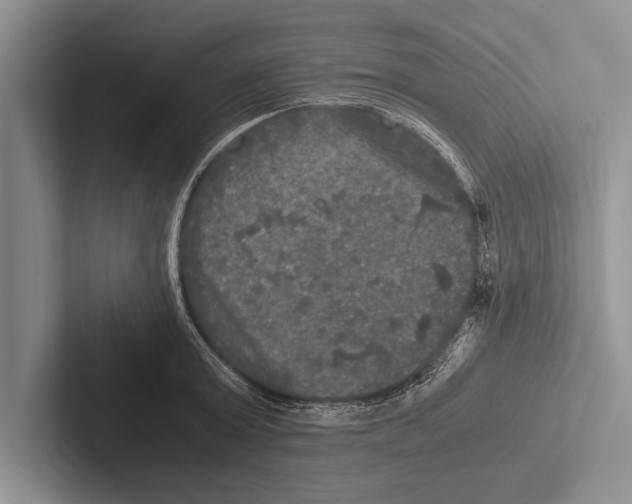 X0000102520803200809051442