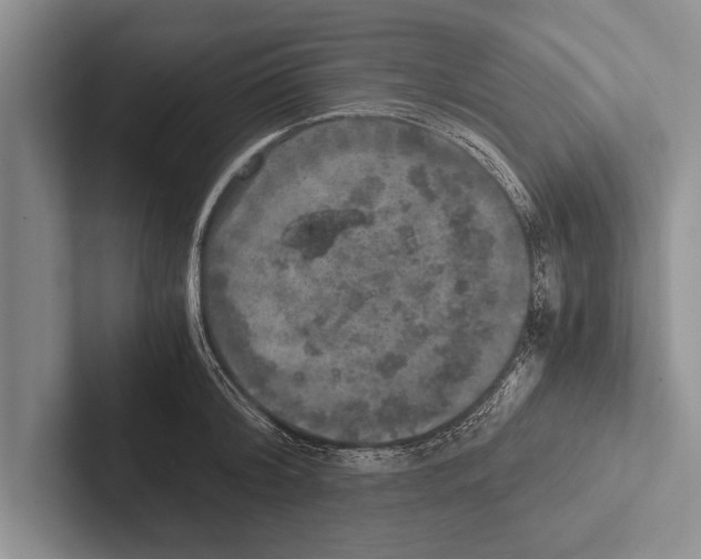 X0000102520804200809051442