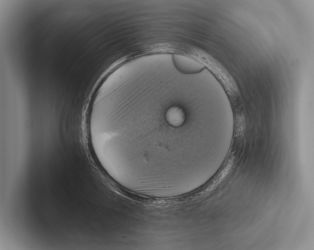 X0000102520806200809051442