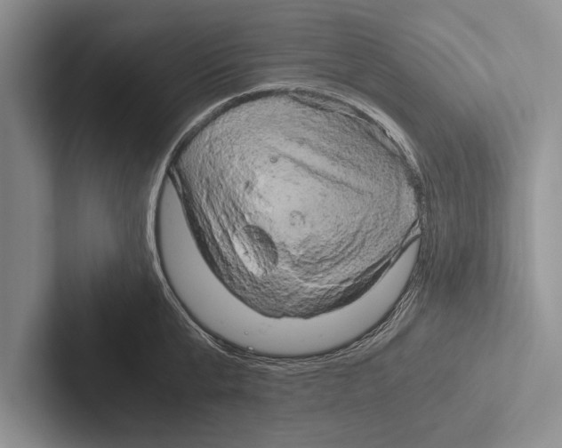 X0000102520807200809051442