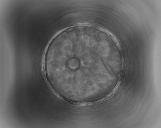 X0000102520808200809051442