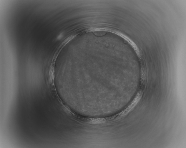 X0000102520809200809051442