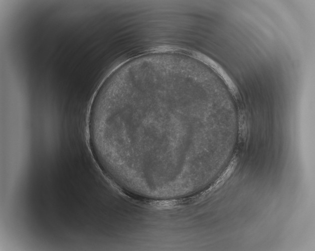 X0000102520810200809051442