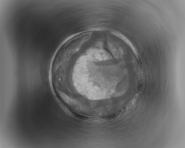 X0000102520811200809051442